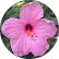 user-image